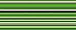 Halsband Casual Green - Musteransicht