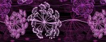 Halsband Hogweed Purple