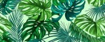 Halsband Jungle