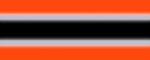 Halsband Reflex Neon Orange II - Musteransicht