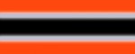 Halsband Reflex Neon Orange II - Musteransicht