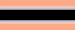 Halsband Reflex Salmon II