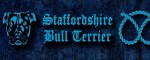 Halsband Staffordshire Bull Terrier Blue