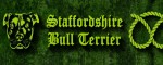 Halsband Staffordshire Bull Terrier Green - Musteransicht