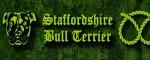 Halsband Staffordshire Bull Terrier Green