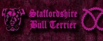 Halsband Staffordshire Bull Terrier Pink - Musteransicht