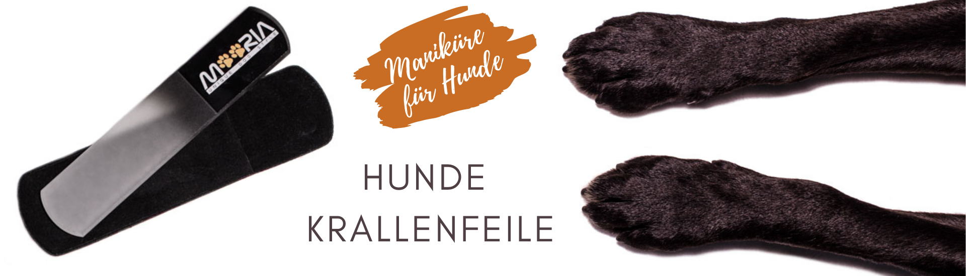 Hunde krallenfelile