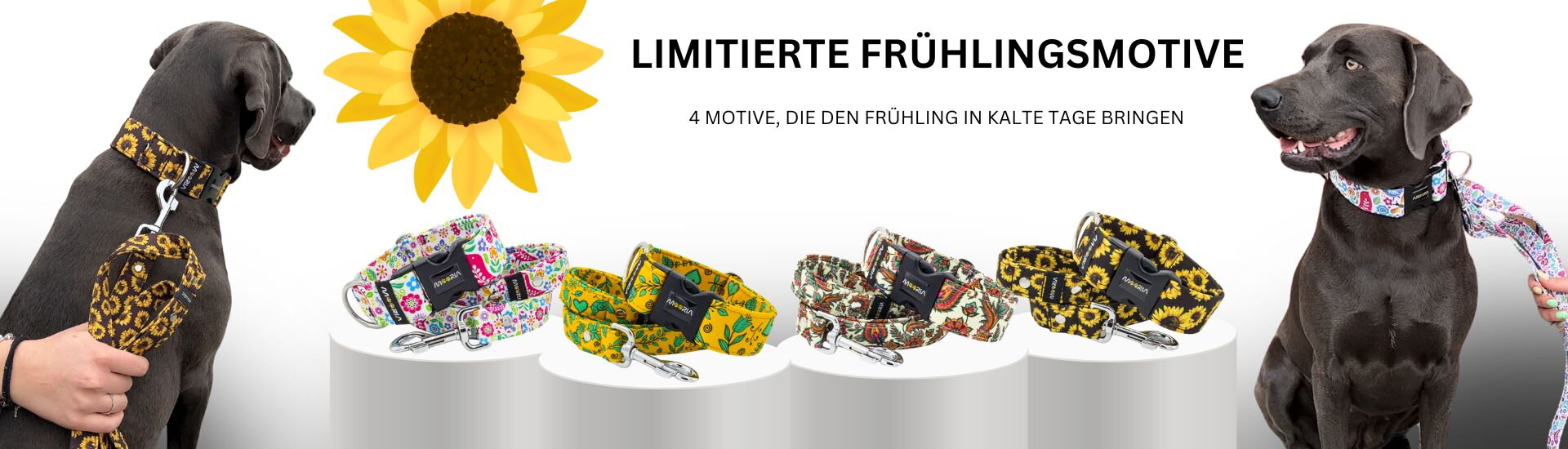 Limitierte Frühlingsmotive