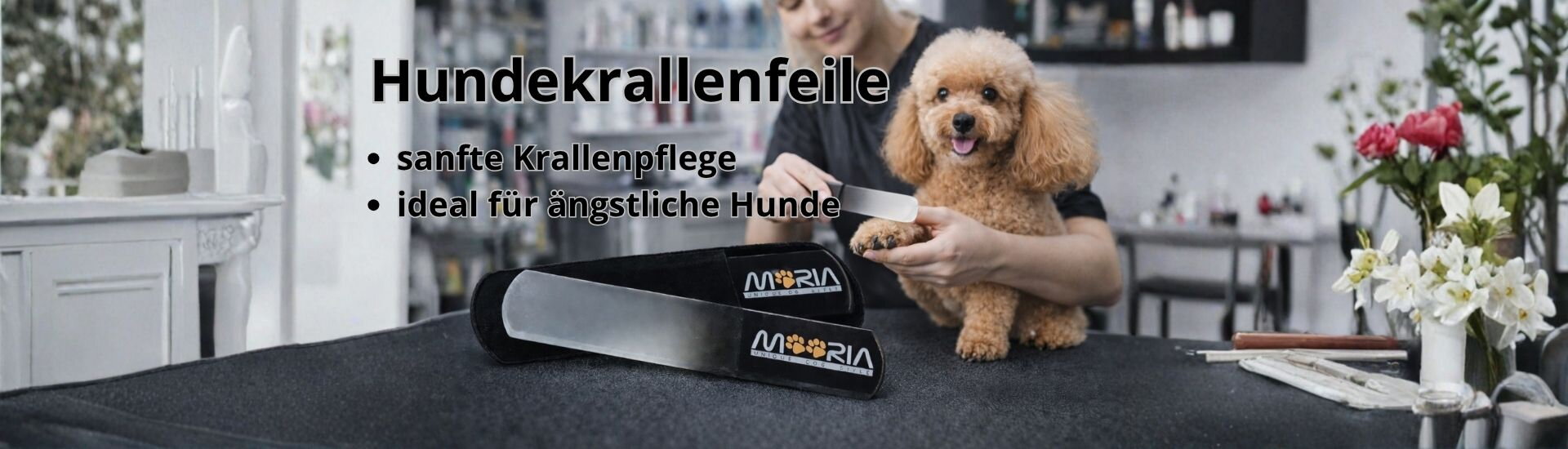 Hunde krallenfelile