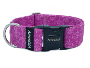 Individuelles Halsband 2025006