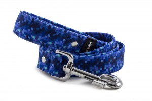 Leash Digital Blue