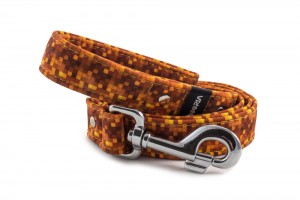 Leash Digital Gold