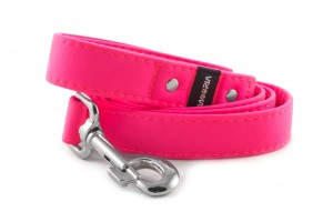 Leash Neon Pink