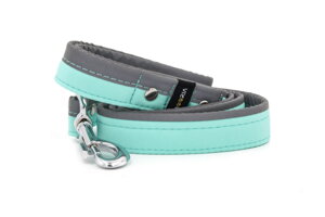 Leash Reflex Fresh Mint