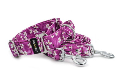 Halsband KI