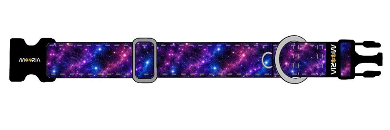Maßgefertigtes Halsband DE26062301