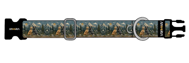 Maßgefertigtes Halsband DE26081405