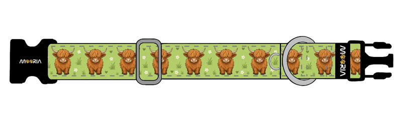 Maßgefertigtes Halsband DE26082604