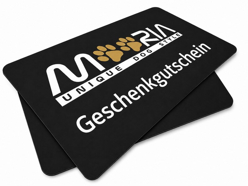 100 € Geschenkgutschein