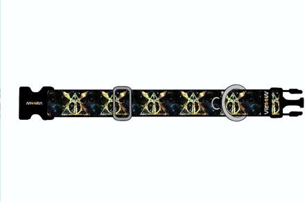 Maßgefertigtes Halsband 2026007 BASIC