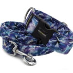 Halsband Gletscher