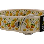 Halsband Citrus Fiesta