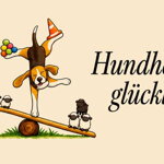 Maßgefertigtes Halsband DE26071402