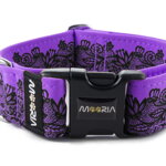 Halsband Lace