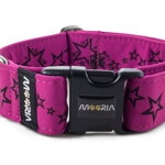 Halsband Stars