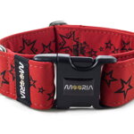 Halsband Stars