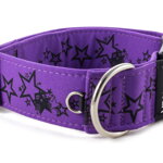 Halsband Stars