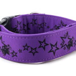 Halsband Stars