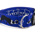 Halsband Border Collie Life Blue