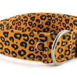 Halsband Jaguar