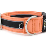 Halsband Reflex Salmon II