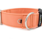 Halsband Salmon