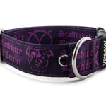 Halsband Staffordshire Bull Terrier Violet