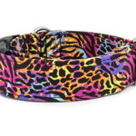 Halsband Crazy Tiger