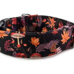 Halsband Mushrooms