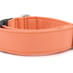 Halsband Salmon