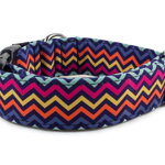 Halsband Sharp Waves