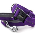 Halsband Reflex Fuchsia Violet I