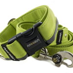Leine Reflex Lime Green