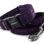 Halsband Staffordshire Bull Terrier Violet
