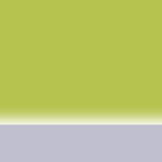 Leine Reflex Lime Green