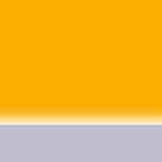 Leine Reflex Mustard Yellow