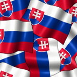 Leine Slovensko